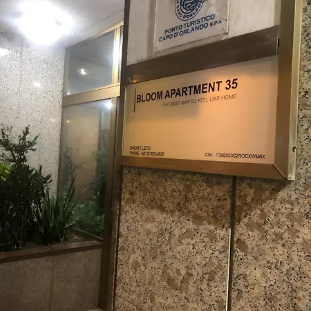 Bloom 35 *